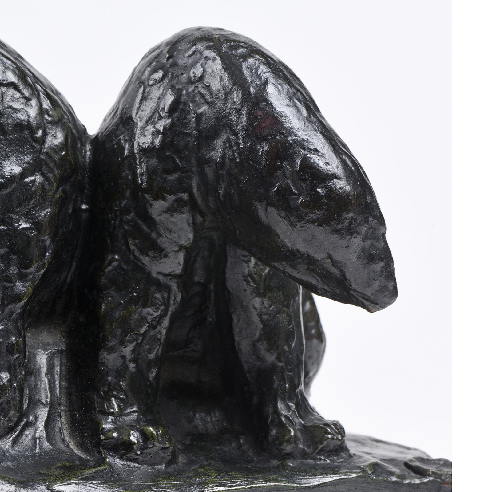 « Quatre Petits Ours Polaires »